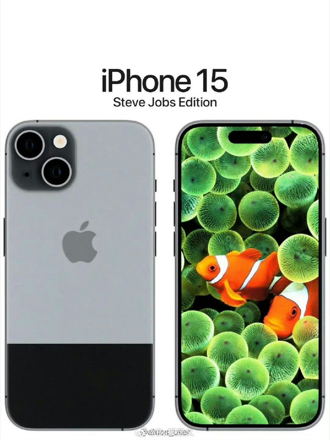 mmexport1696956216666.jpg