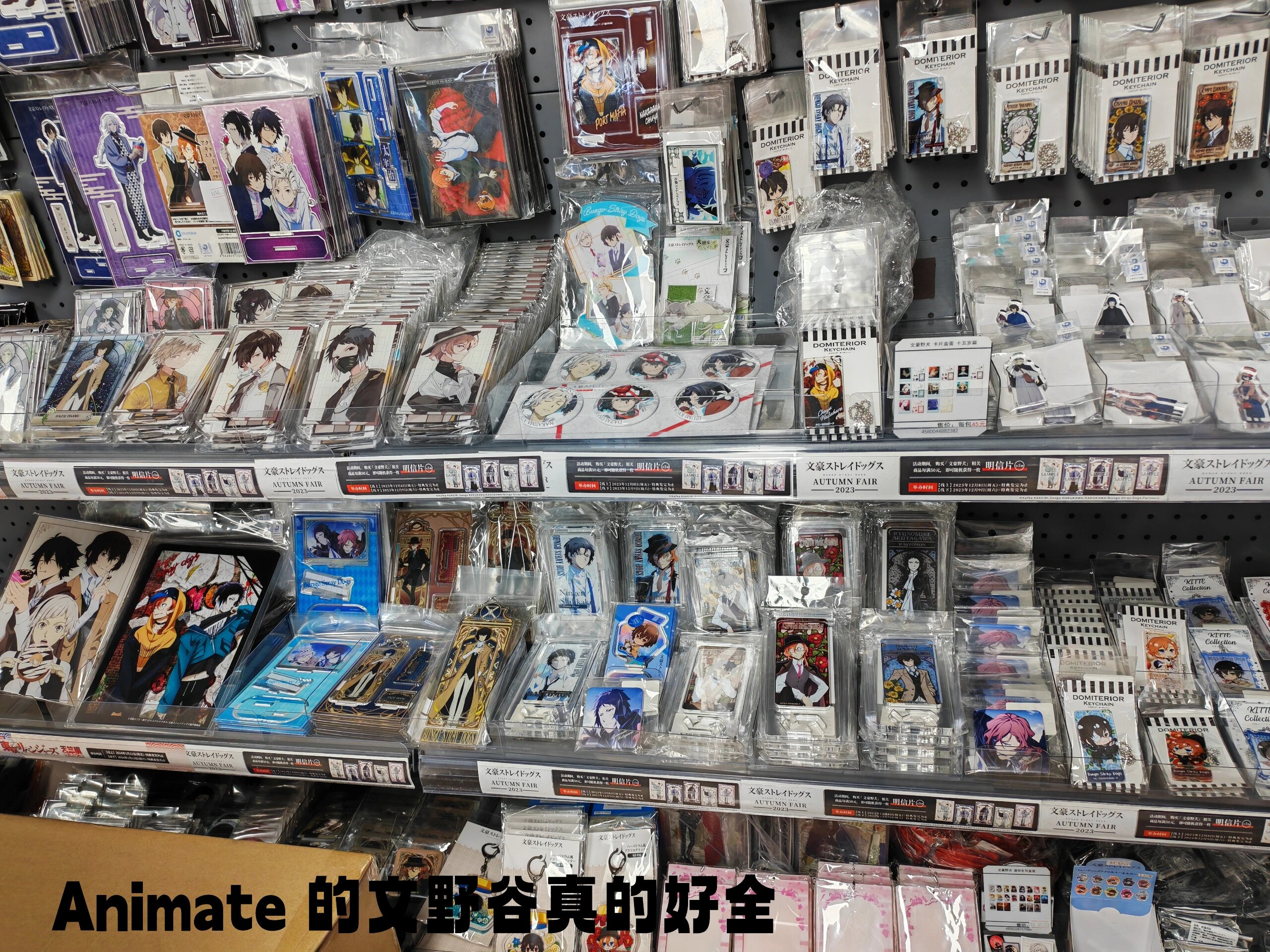 mmexport1707112556912.jpg