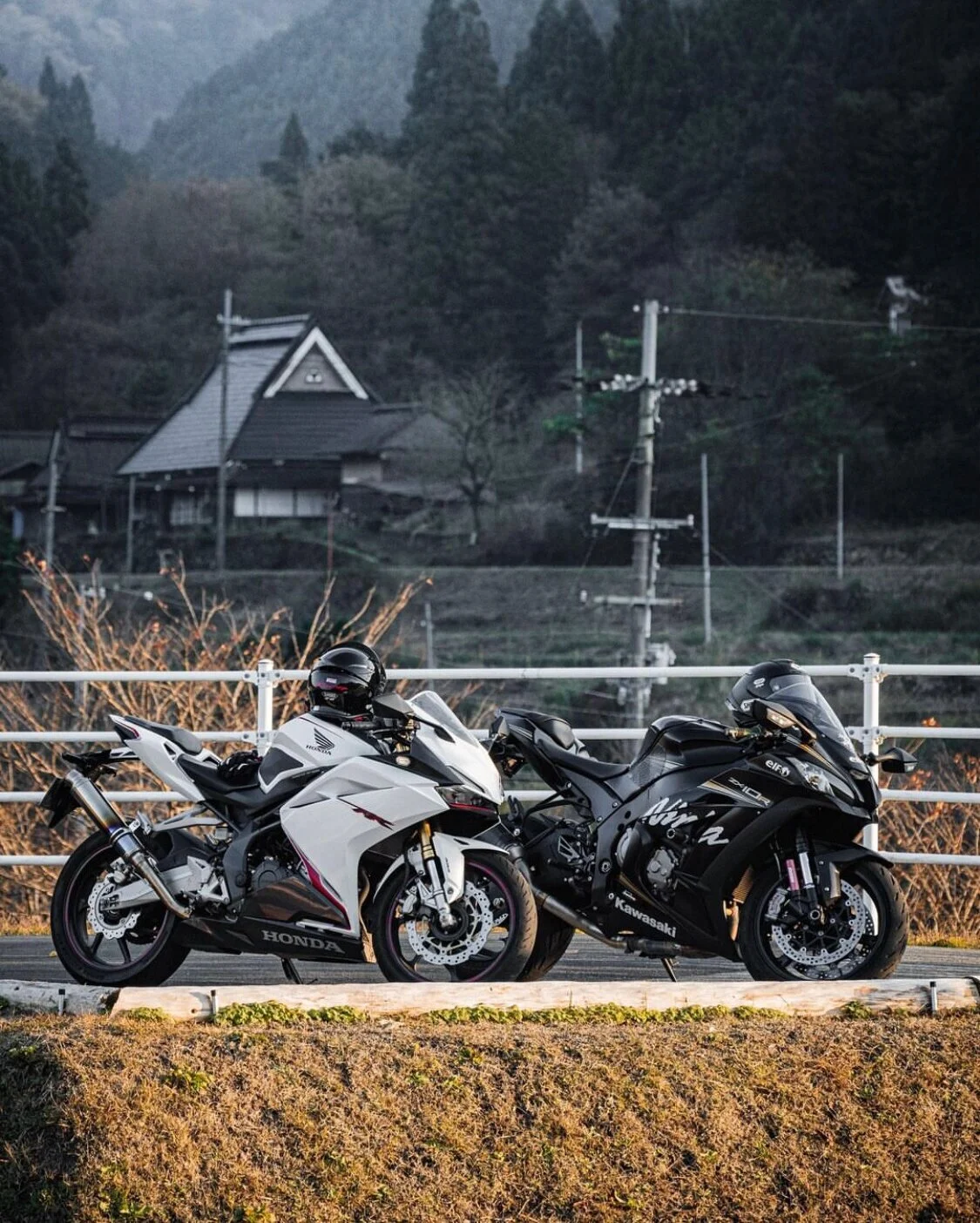 mmexport1707707681963.webp
