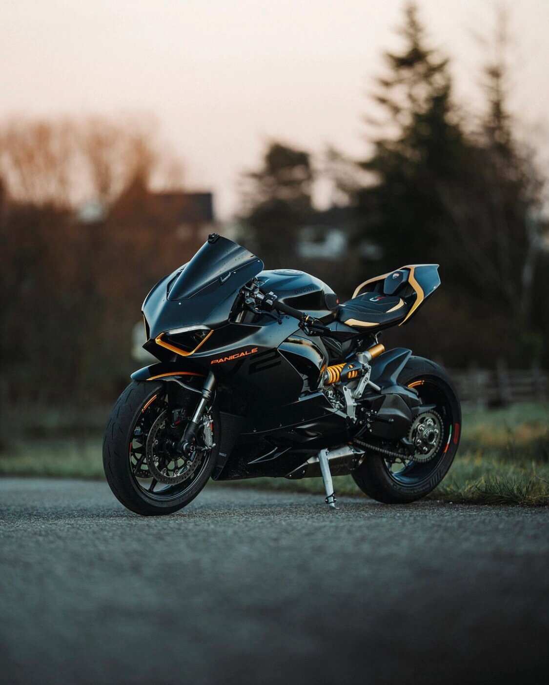 mmexport1708157252802.jpg