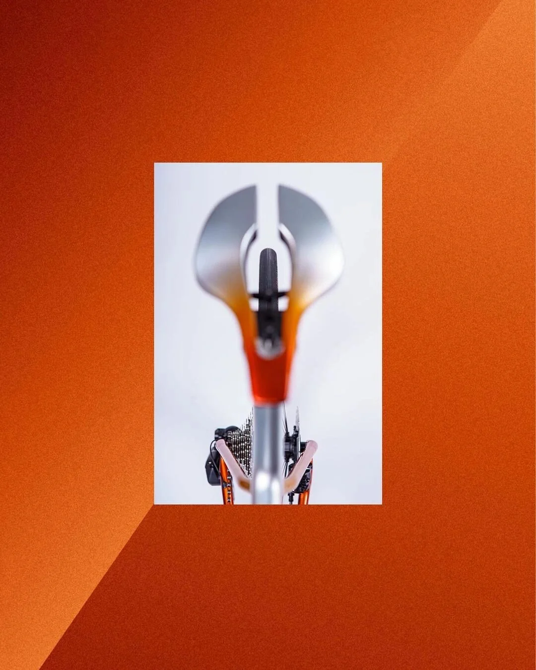 mmexport1708767237818.webp