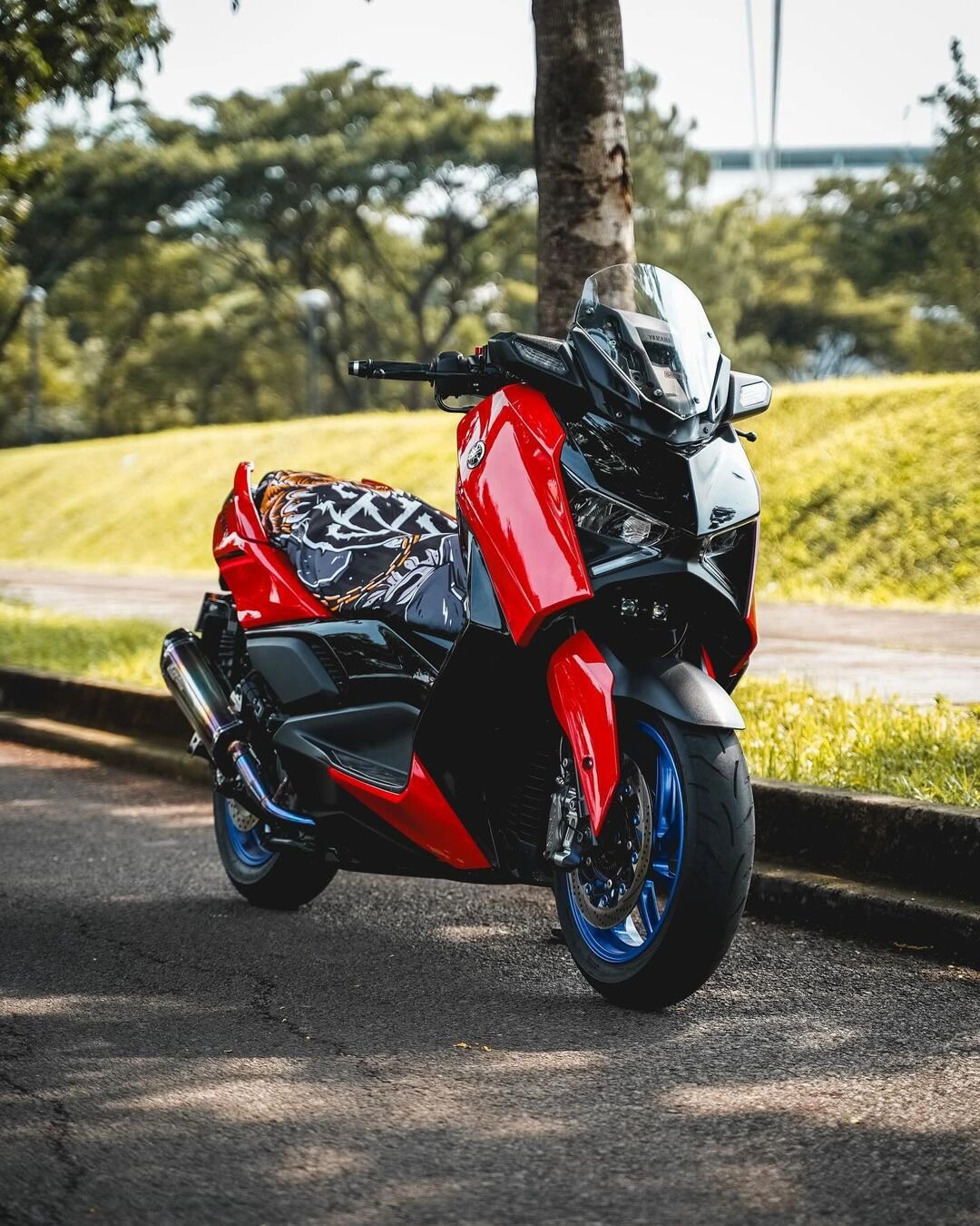 mmexport1709951010558.jpg