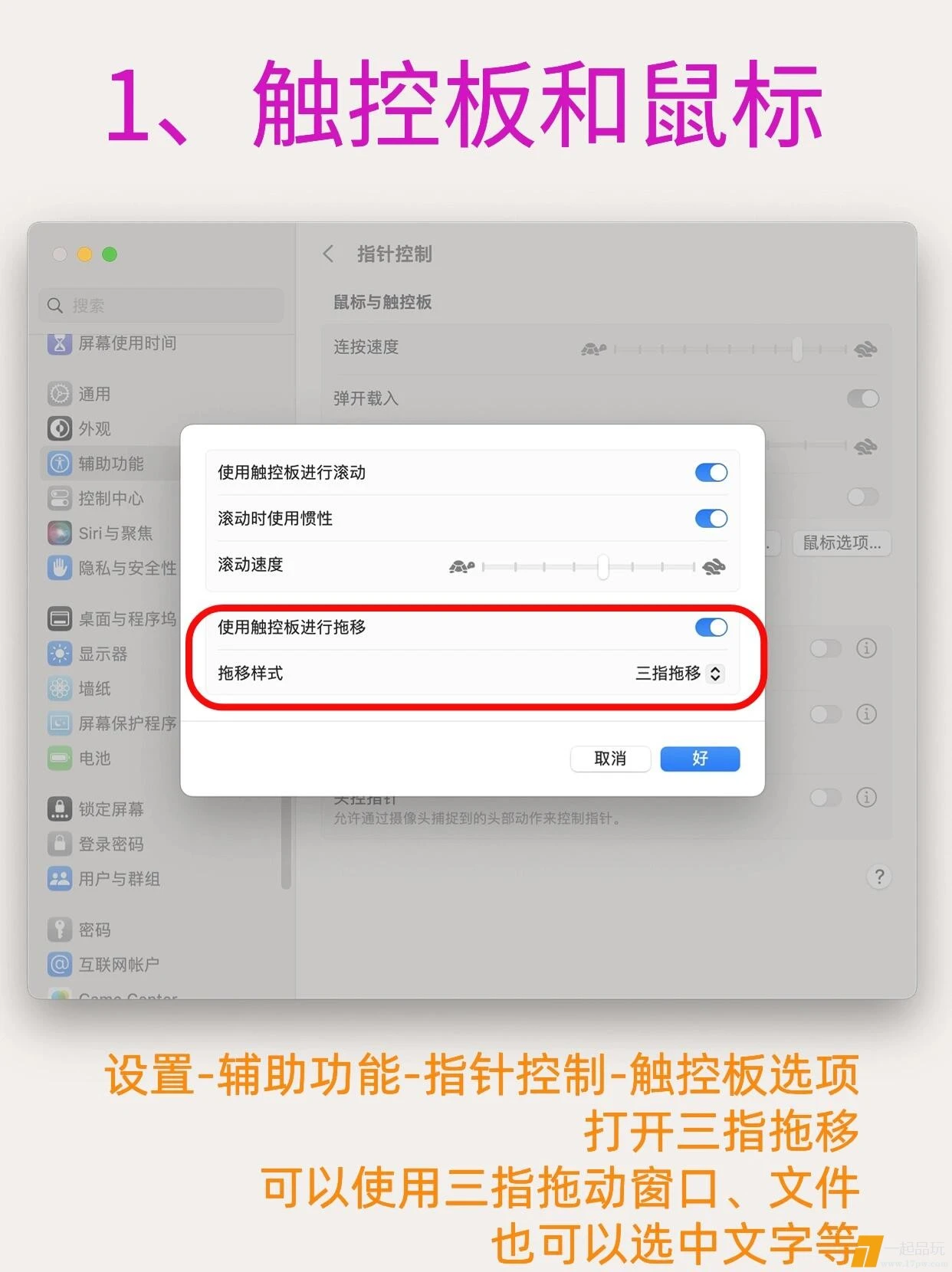 mmexport1711378019691.webp