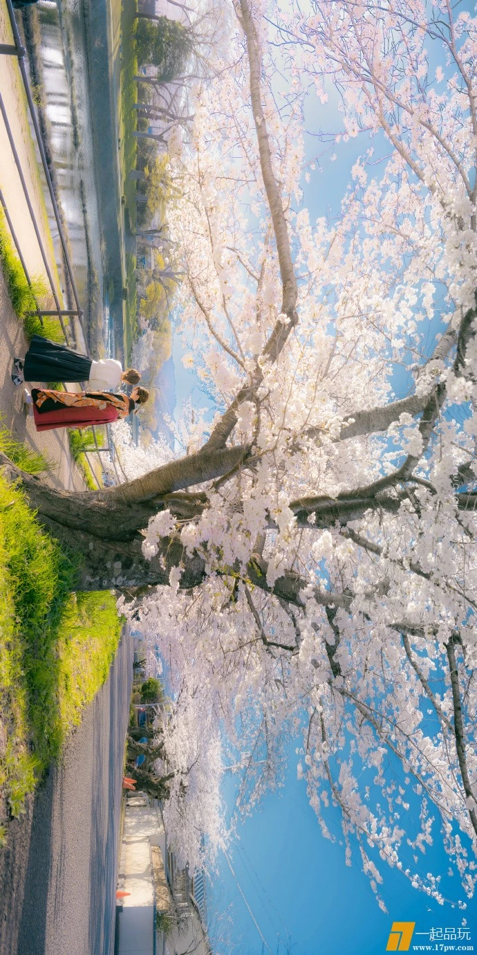 mmexport1712376383369.webp