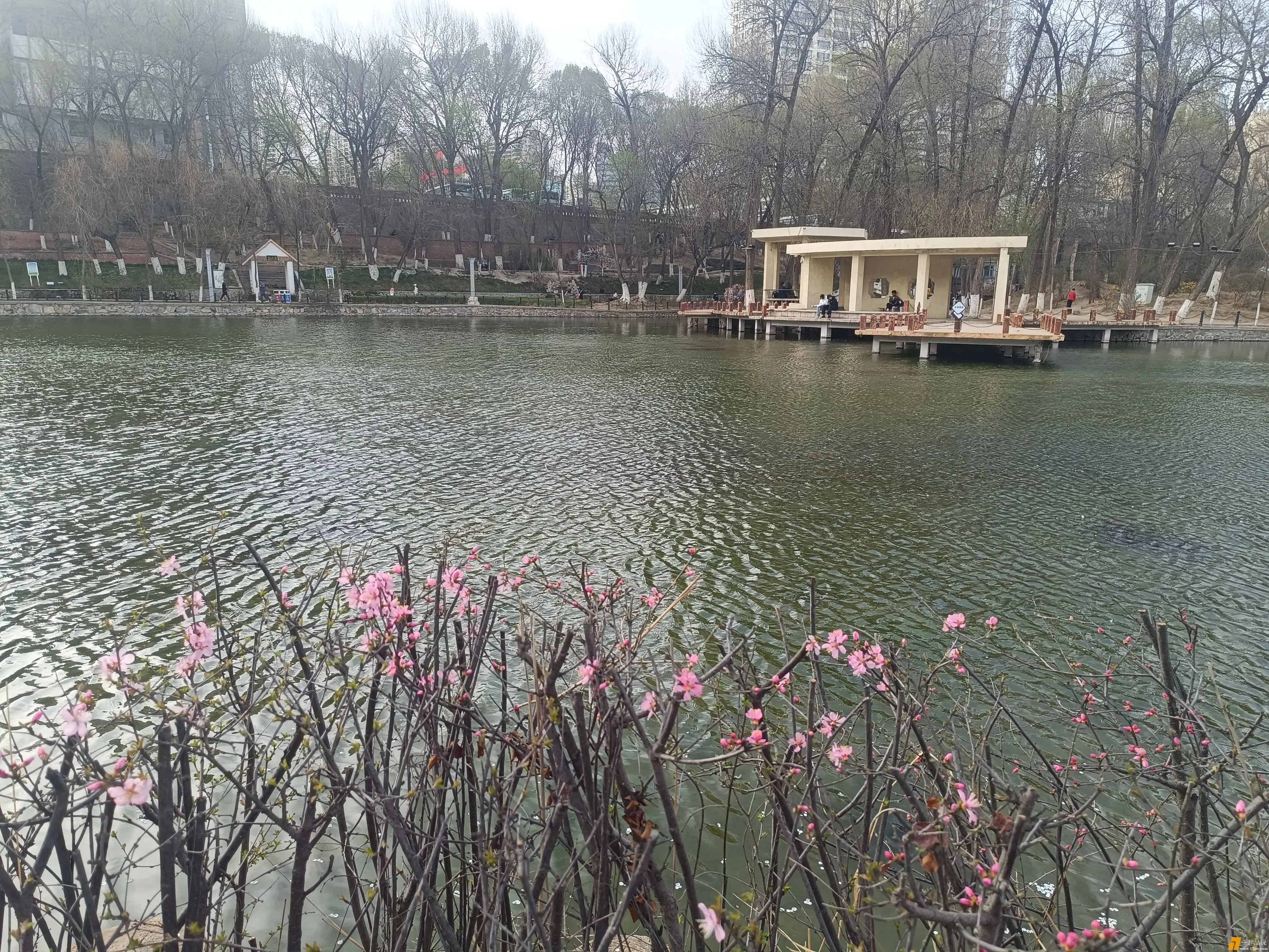 IMG_20250420_084003.webp