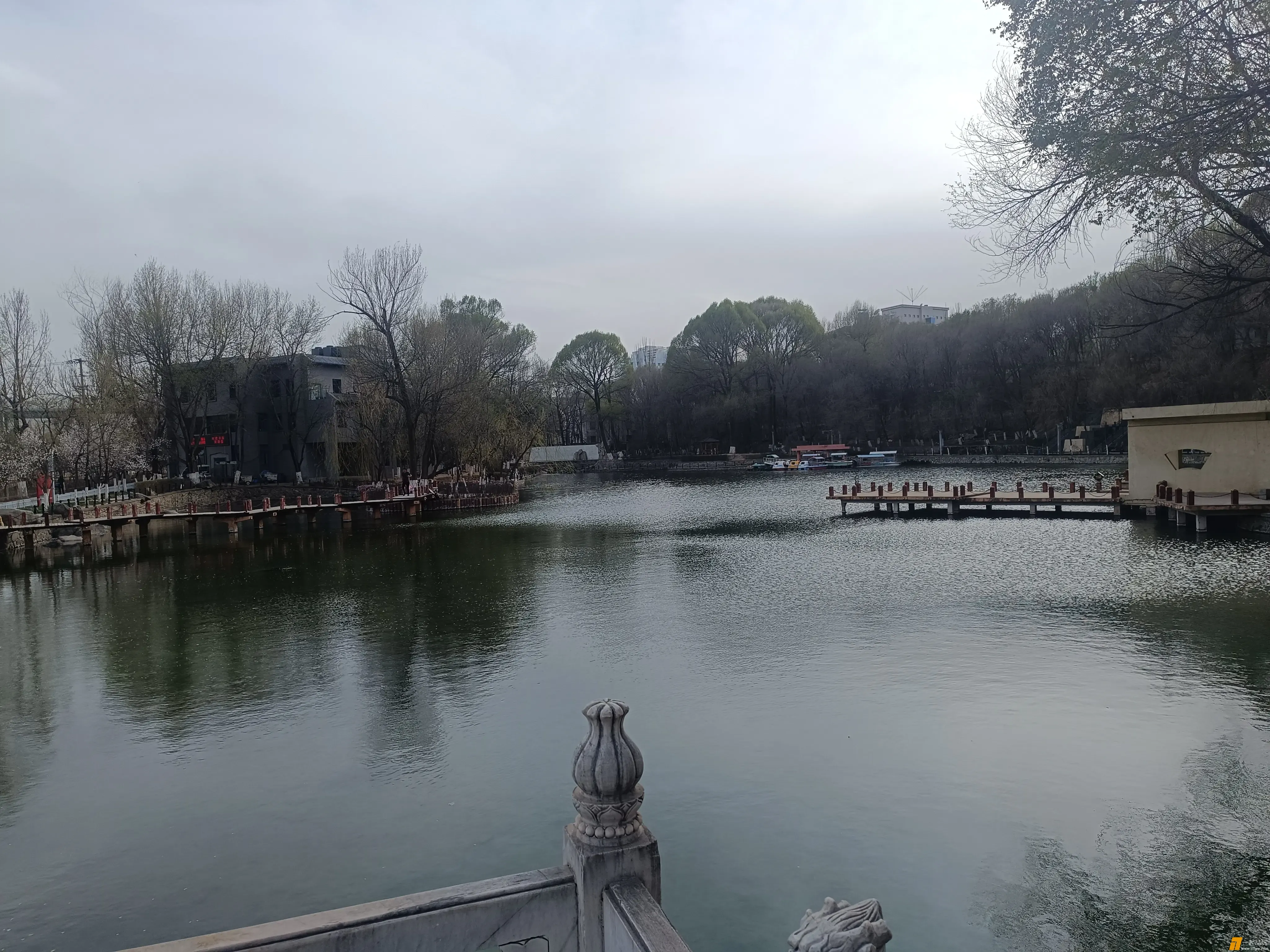 IMG_20250420_084053.webp
