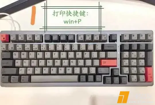 1746537470833_S5a0xIoDhvxKc4wxHJr88jJp8P65baAn0ln5c7o59.webp.webp