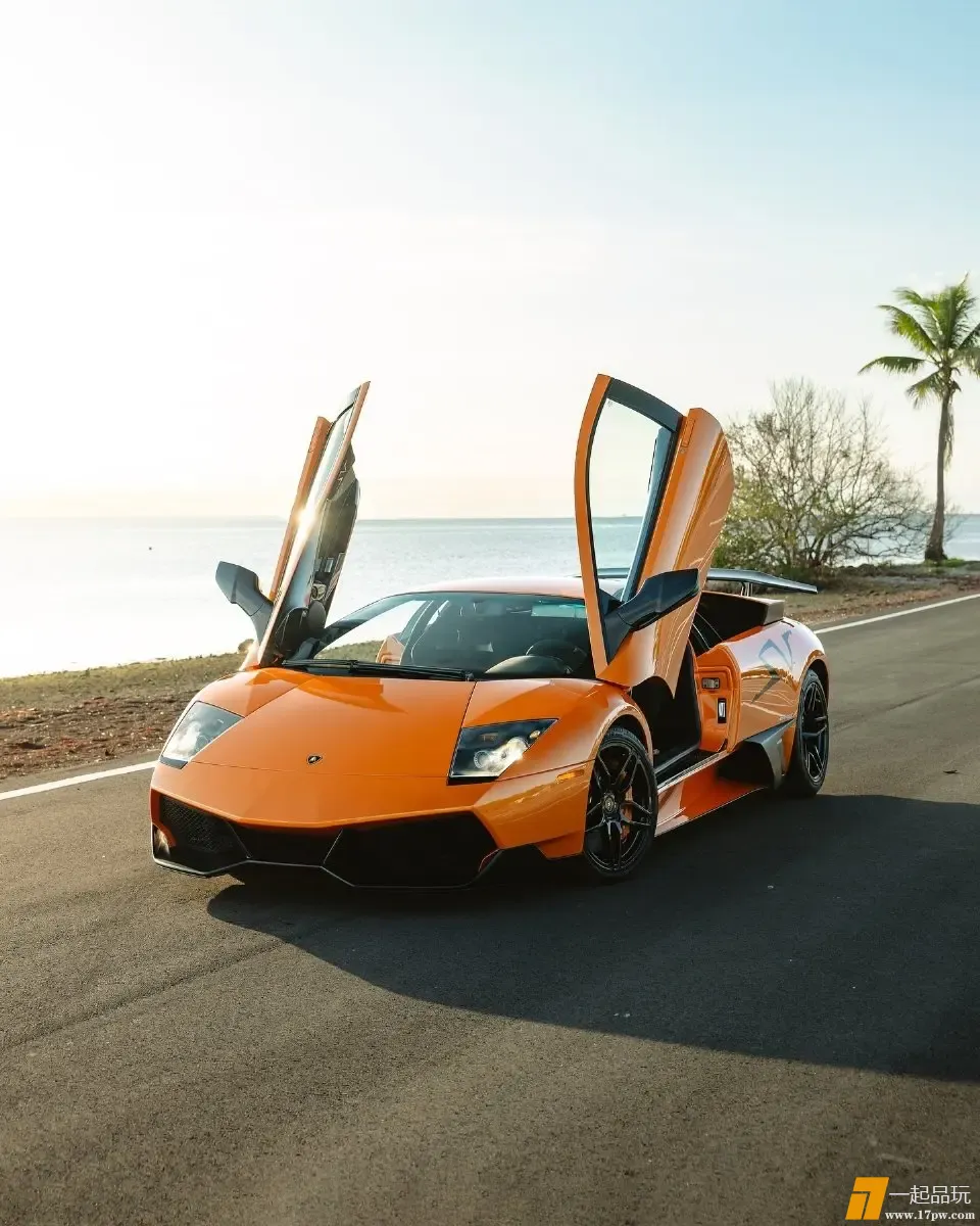 img-17474795867467256a7630e0431f813f0e6bc536f157f4318c8e51723feb765867c704859f287.webp