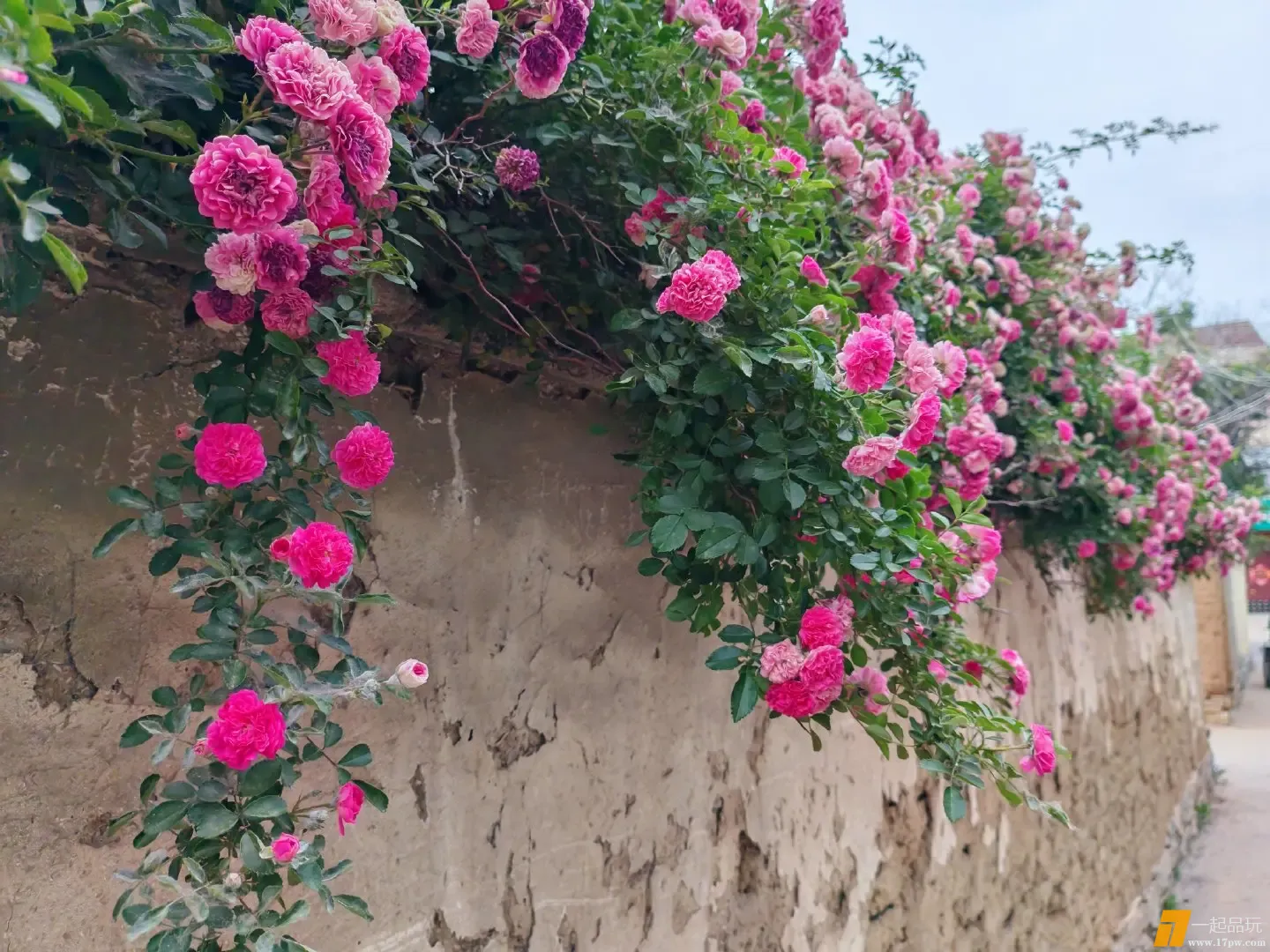 img-174904056213911a8a97104b2e6742af34cbc581e266094803de5ca40e67c828ed1fa0b3f0cd5.webp