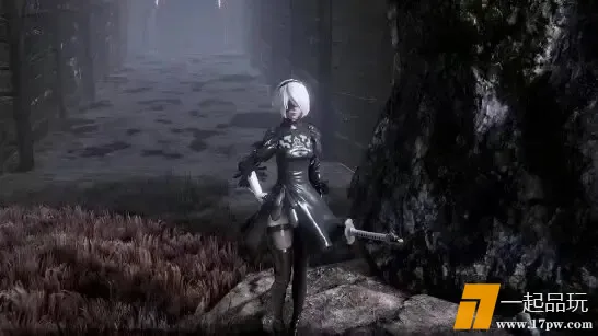 1000215461.webp