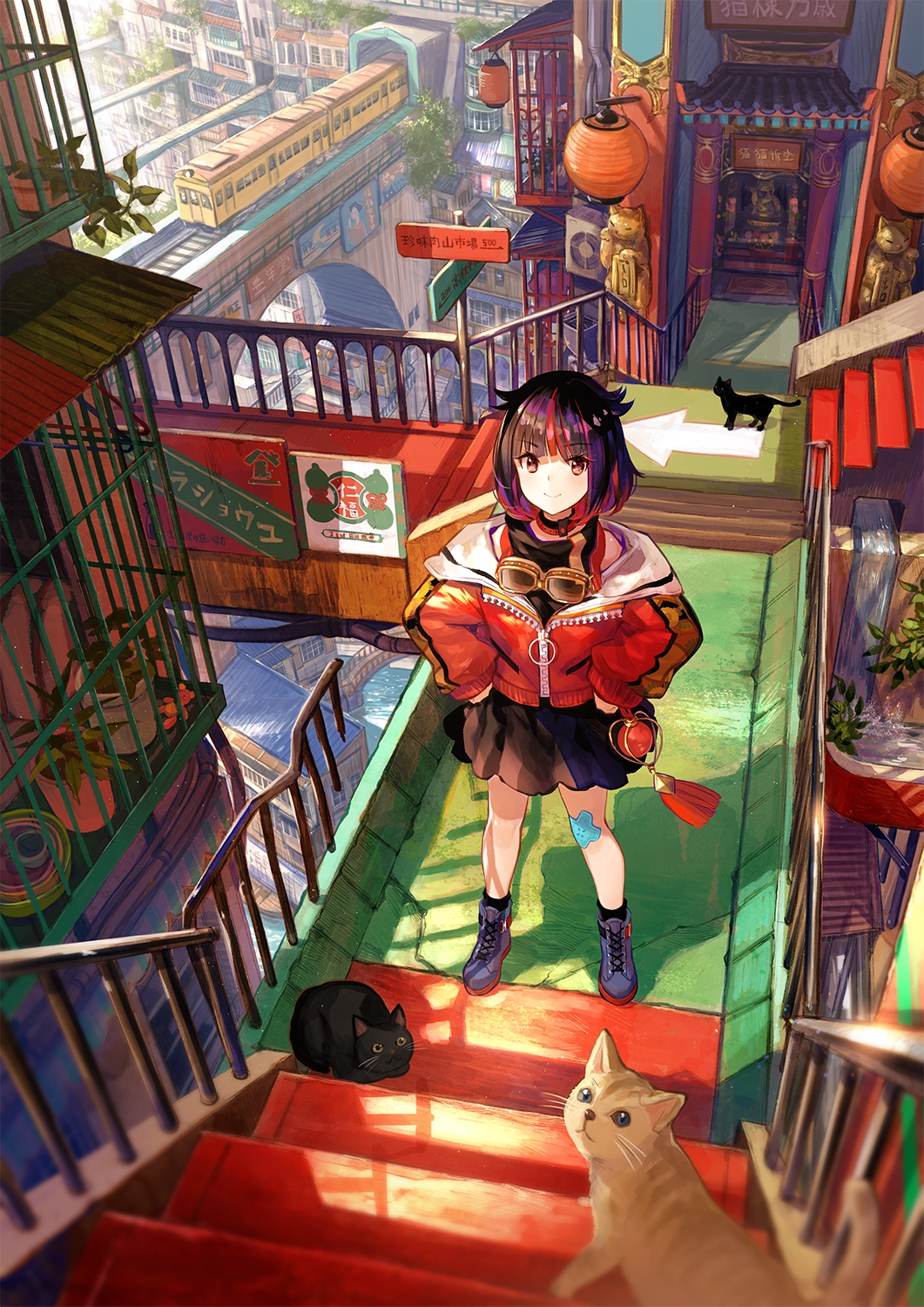 1000216791.webp