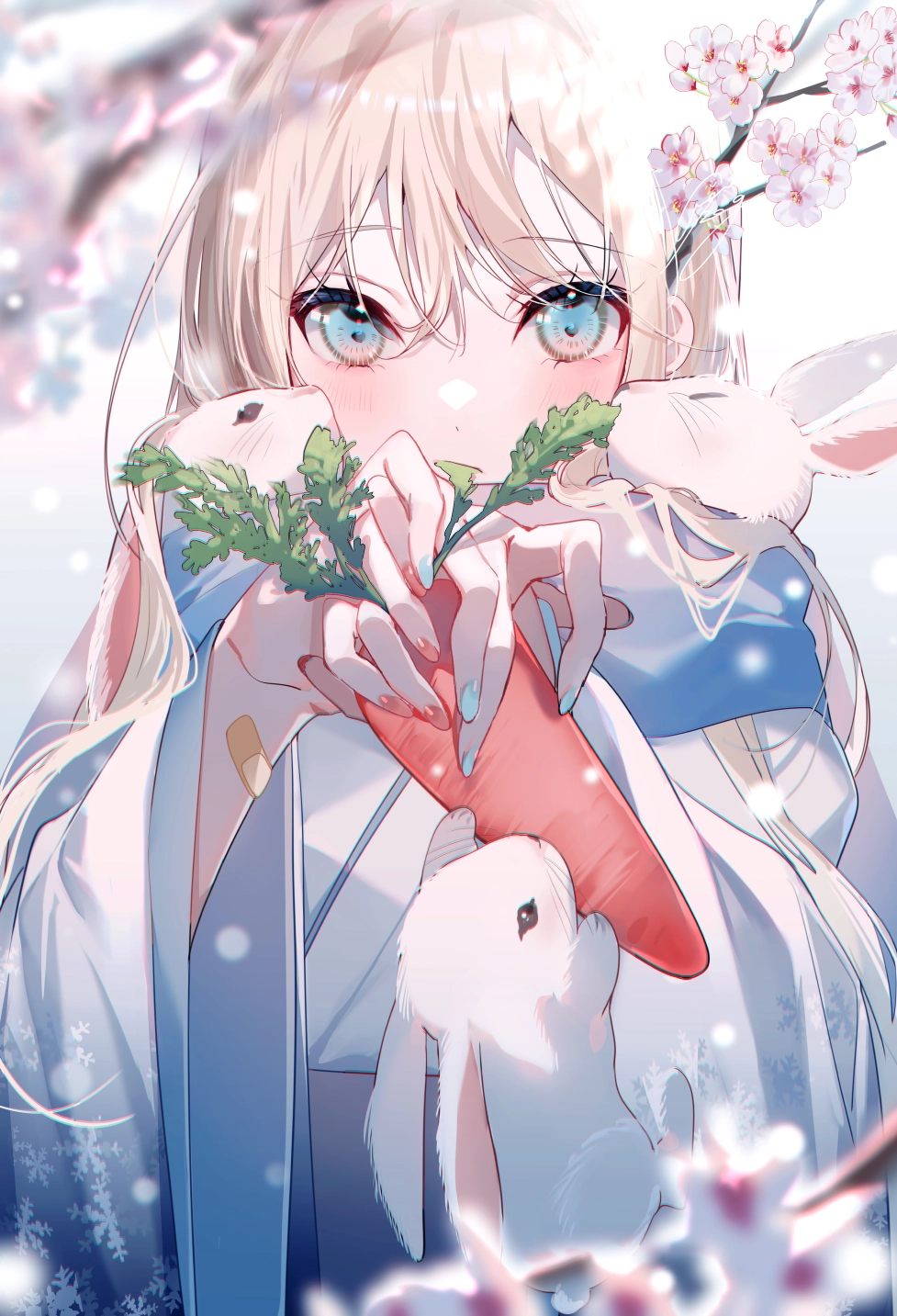 1000216844.webp