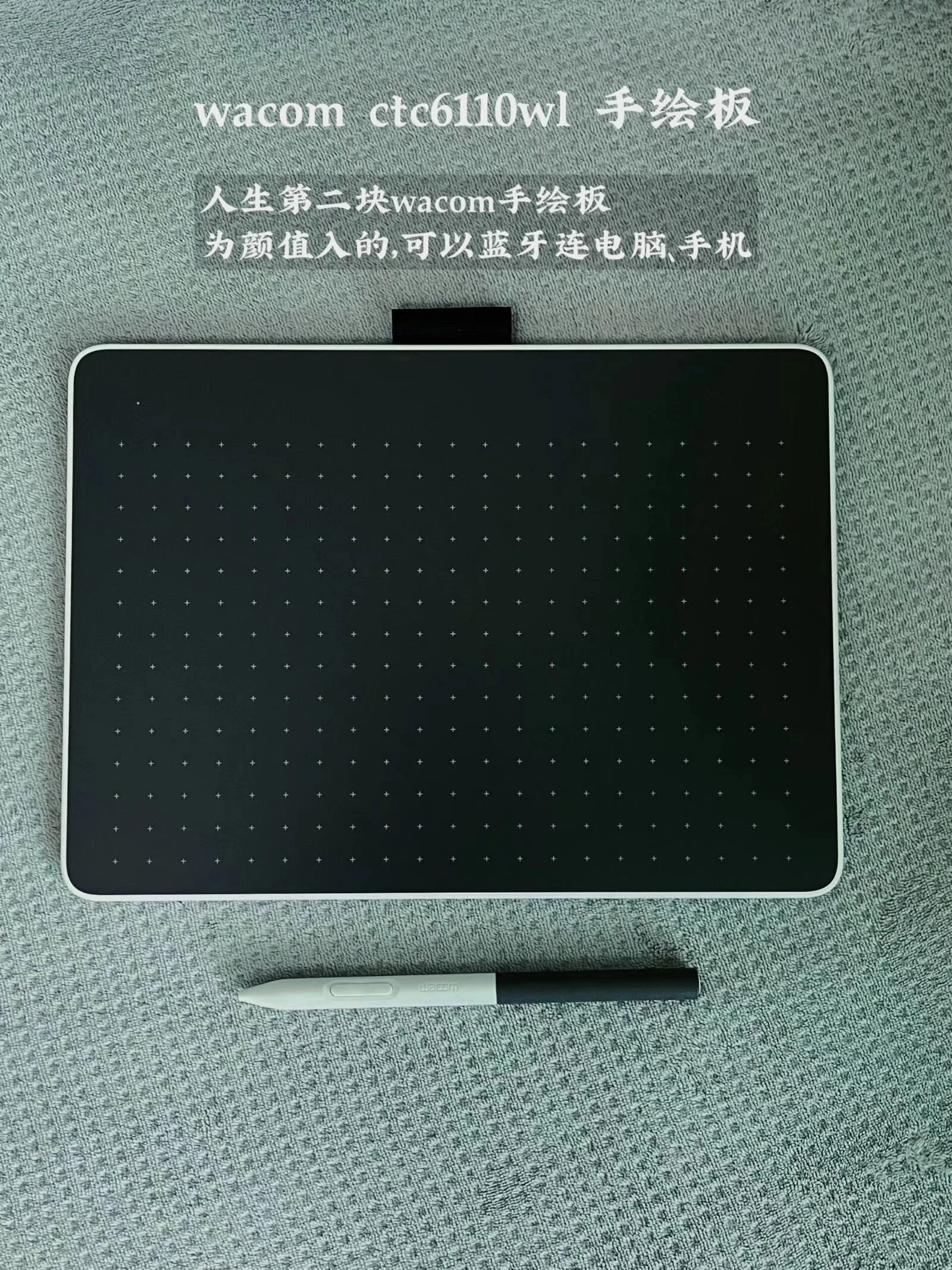 1000217043.webp