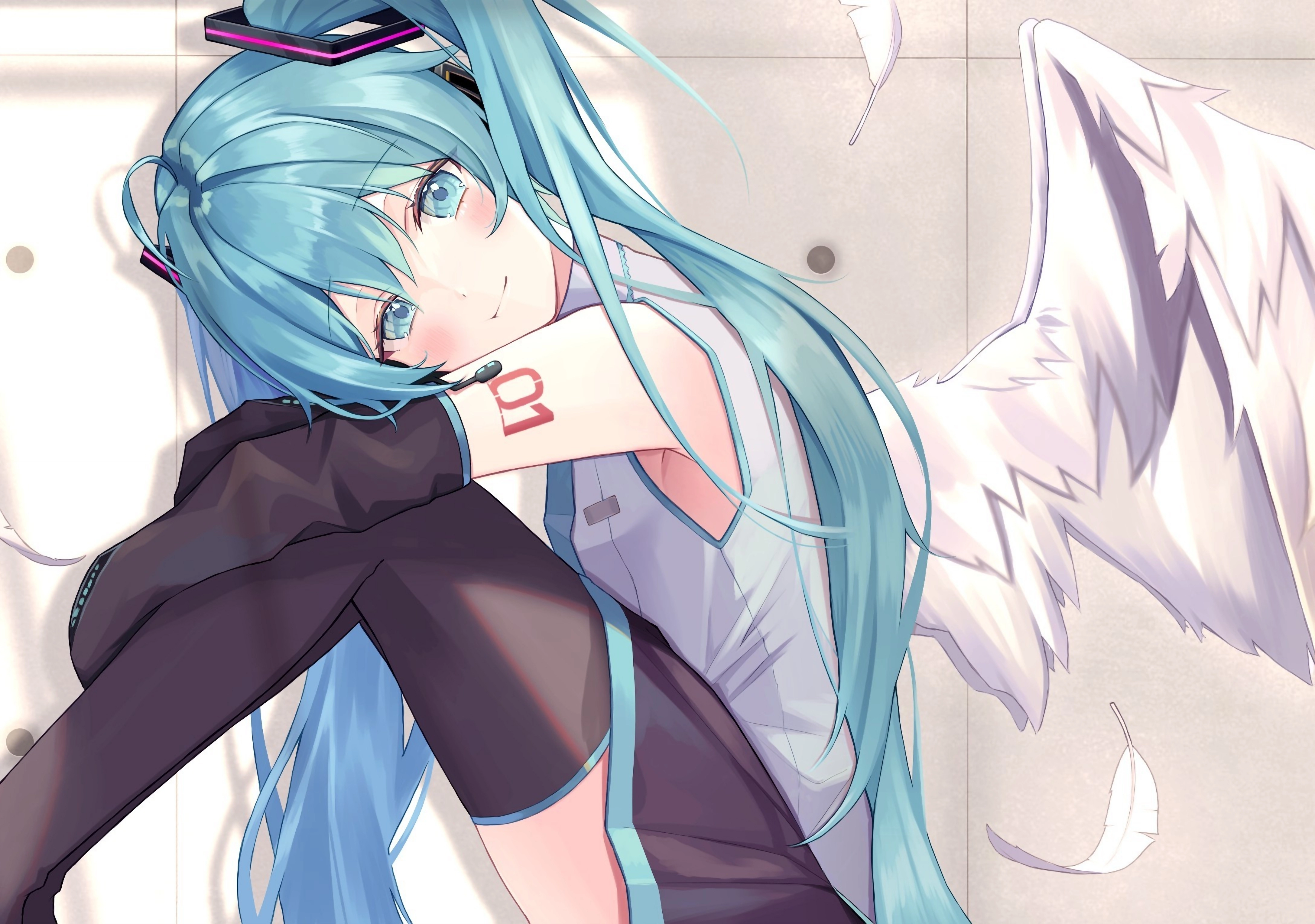 1000217083.webp