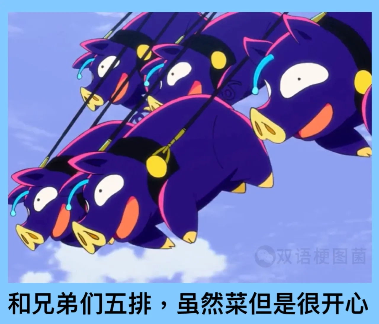 1000217341.webp