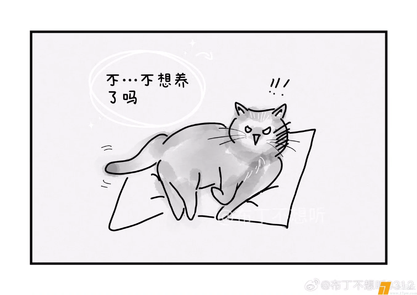 1000218766.webp