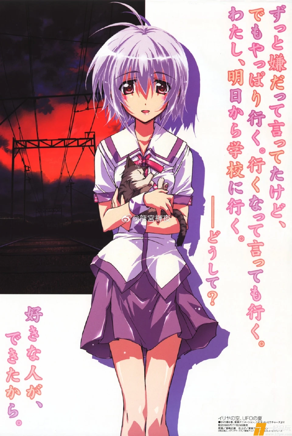 1000222704.webp