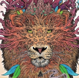 国外的精美的插画 | matmilleril ​​​