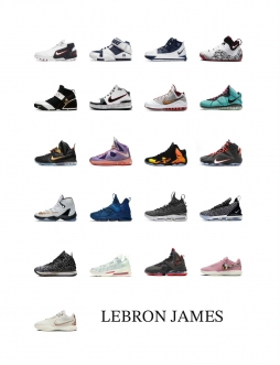 詹姆斯正代球鞋  Zoom Lebron  最爱哪一双