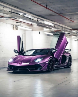 兰博基尼Aventador SVJ #超跑