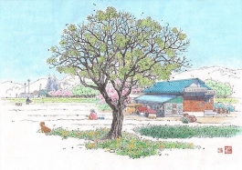 学会改变生活，学会品味沧桑，方可无悔青春，无憾岁月的消逝。