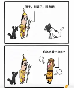 我是一点没看出来