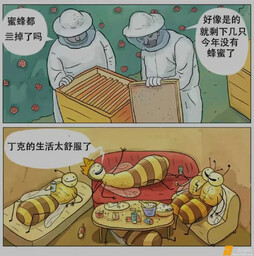 00后丁克蜂