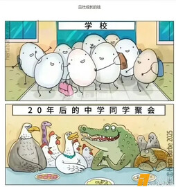 盘子里也是同学吗？[奥特曼] ​​​