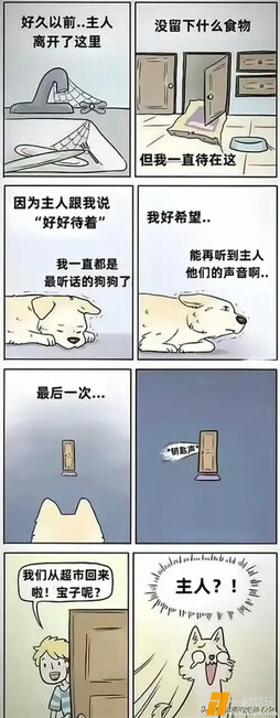 狗子最后的幻想 ​