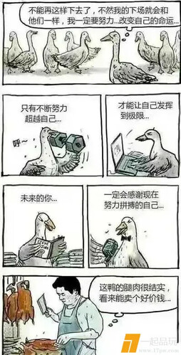 这到底在讽刺什么？