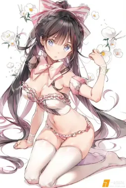 画师 DSマイル ​​​
