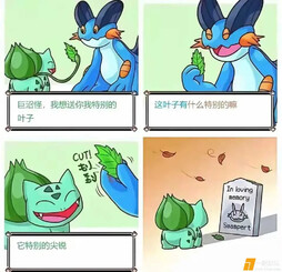 没看懂，有没有懂的解释一下。