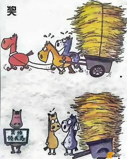 你看懂了吗？