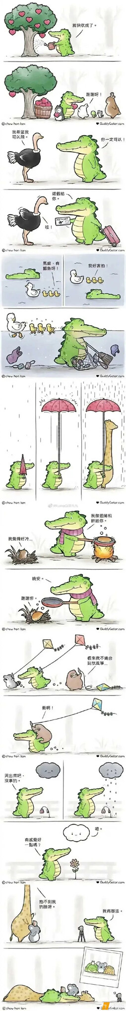 这么可爱，是扬子鳄吧[呲牙]