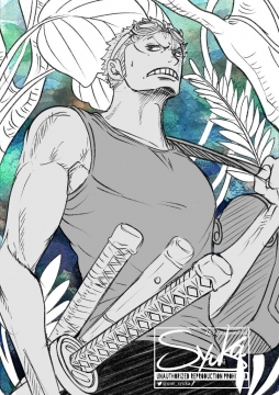 （转载） 推特画师シュウカ新画作：空岛篇的索隆。 出处url：one_syuka