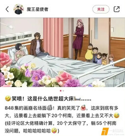 好大的床