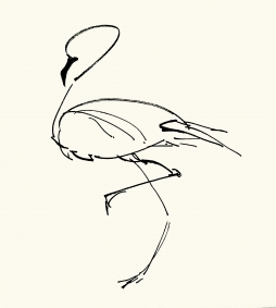 分享图片 ​​​