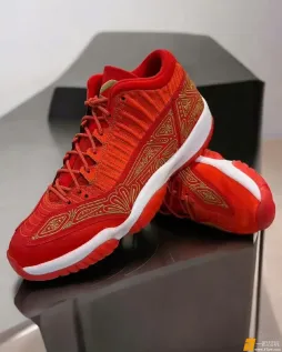 为东契奇特制的AJ11 IE～ 鞋面花纹很熟悉！#光与夜之恋#