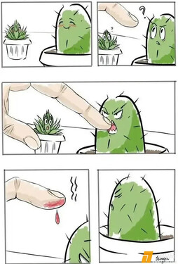 凶残的仙人掌🌵 ​​​
